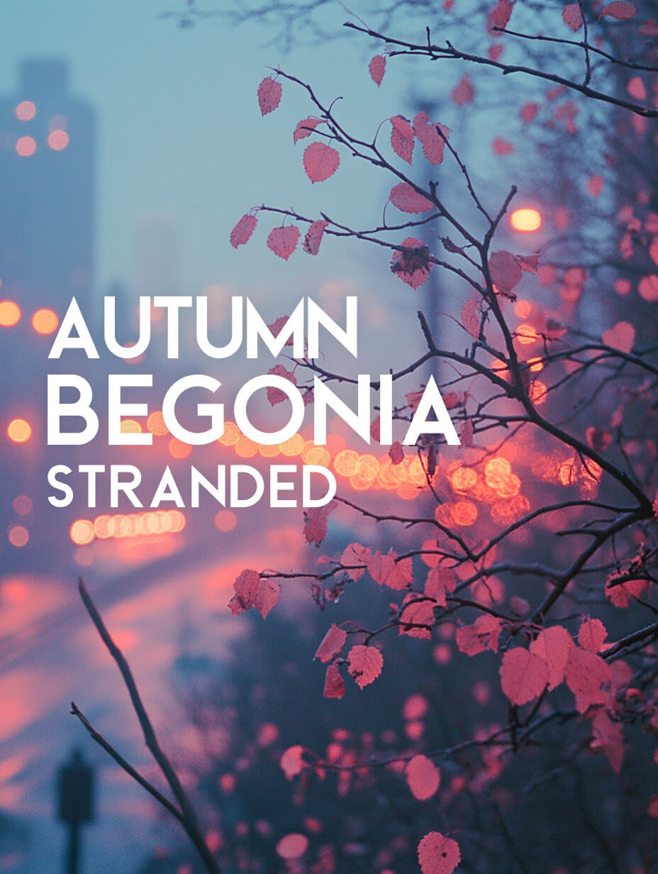 Autumn Begonia Stranded